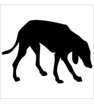 KÖPEK FOLYO STİCKER DERSTV889 50cm Uzunluk (Karışık)