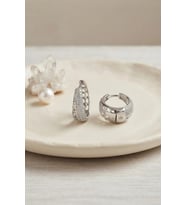 Gümüş Renk Zirkon Taşlı ve Motif Detaylı Damla Halka Model Kadın Küpe