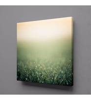 YEŞİLLİKLER KANVAS TABLO 110x110cm (Karışık)