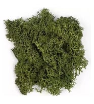 JORDANIA MAKET JE00-0501226 YOSUN YAPRAK YEŞİLİ 10gr.