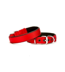 Softlu Köpek Boyun Tasması 2 cm x 40 cm Kırmızı