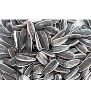 Ay Çekirdeği Siyah Sade 1 Kg