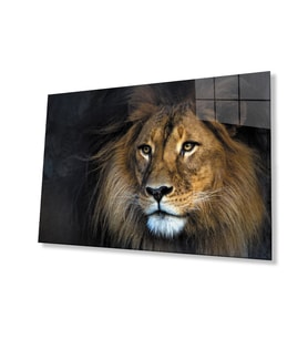 Aslan Hayvan Cam Tablo 4mm Dayanıklı Temperli Cam