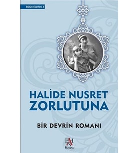 Bir Devrin Romanı