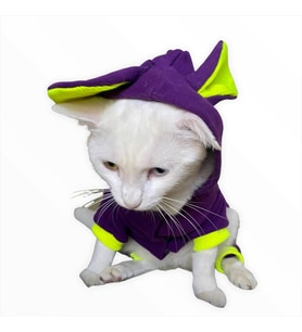 Bunny Pom Kulaklı Kedi Tulumu,Kıyafeti