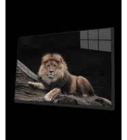 Aslan 12 Cam Tablo
