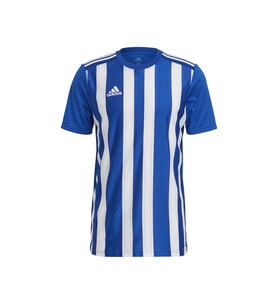 adidas Striped 21 Jsy Erkek Futbol Maç Forması GH7321 Mavi