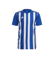 adidas Striped 21 Jsy Erkek Futbol Maç Forması GH7321 Mavi