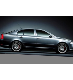 Skoda Octavia A5 Cam Çıtası P.Çelik 2005-2012 Arası