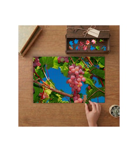 Üzüm Salkımı - Kırmızı Üzümler Tasarımı 240 parça Ahşap Puzzle Ahşap Kutuda MP02046