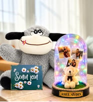 Kişiye Özel Yazılı 3 Fotoğraflı Renkli LED Işıklı Fanus(peluş ayıcıklı) ve Şaşkın Peluş Eşek