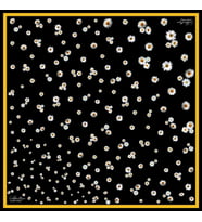 LABOUTİQUE CRASH EŞARP 95x95 130801