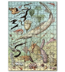 Cakapuzzle Derin Deniz Canlıları Zoolojik Şema Puzzle Yapboz MDF (Ahşap) (120 Parça)