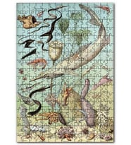 Cakapuzzle Derin Deniz Canlıları Zoolojik Şema Puzzle Yapboz MDF (Ahşap) (120 Parça)