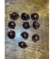10 ADET KAHVERENGİ ÇİÇEK ARMA SET DİKİŞ APLİKE 3X3 CM