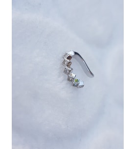 Tragus Küpe Piercing Çelik