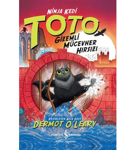 Ninja Kedi Toto – Mücevher Hırsızı