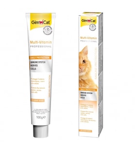 GimCat MultiVitamin Kedi Macunu 100 Gr
