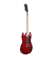 DMX Guitars GSG100 Elektro Gitar
