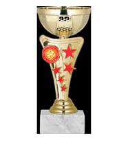 ODAK KUPA - Economy Kupalar - ECO-029 B - 19 cm