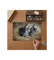 Mavi Gözlü Sevimli Yavru Kediler Tasarımı 240 parça Ahşap Puzzle Ahşap Kutuda MP02975