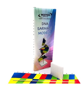 Misyon Dna Sarmalı Modeli Seti - 2 adet