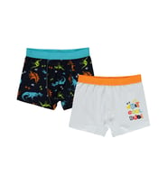Civil Boys Erkek Çocuk 2'li Boxer Set 2-10 Yaş - Standart