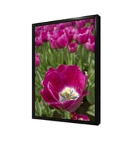 Çiçek Çerçeveli Mdf Tablo