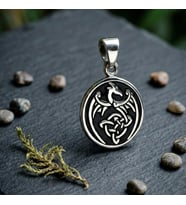 Gümüş Ejderha Kolye Ucu 925 Ayar Gümüş Ejderha Figürlü Madalyon Kolye Ejder Unisex Kolye Ucu