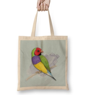 Gouldian Finch Wizard 03 Bez Çanta Uzun Saplı