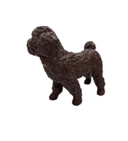 Köpekler - Poodle Cinsi Köpek - 1 ADET