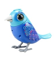 Digibirds Tekli Paket Seri 1 - Model 1