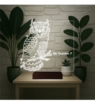 Luvivia Baykuş Kuş Tasarım Kişiye Özel 3D Lamba - Masa Gece Lambası