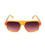 Obb Sunglasses PAPILIO MS110 C11 Erkek Güneş Gözlüğü