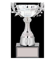 ODAK KUPA - Medium Kupalar - M-041 C - 24 cm