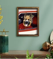 Evcil Dostlara Özel Nascar Pilot Tasarımlı Portre Doğal Masif Ahşap Çerçeveli Tablo 30x40cm-2