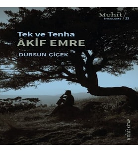 Tek ve Tenha Akif Emre
