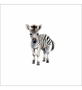Sevimli Zebra Sticker Duvar Sticker 30x25 CM