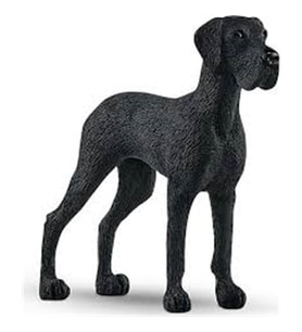 Schleich Lisanslı Danua Cinsi Köpek Figürü 13962