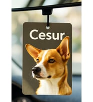 🐶 Evcil Hayvan Baskılı Oto Kokusu (3adet)
