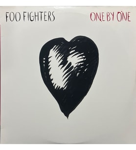 Foo Fighters One By One Double LP Plak (Karışık)