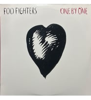 Foo Fighters One By One Double LP Plak (Karışık)