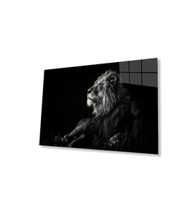 Aslan Cam Tablo 4mm Dayanıklı Temperli Cam (Çok Renkli)