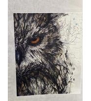 22X18 CM ÜTÜ İLE YAPIŞAN BAYKUŞ GÖZÜ BASKI APLİKE TİŞÖRT BASKI ARMA YAMA DİKİŞ HOBİ