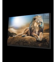 Aslan Hayvan Cam Tablo 4mm Dayanıklı Temperli Cam