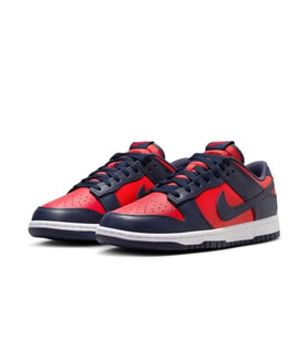 NİKE Dunk Low Retro DV0833-601