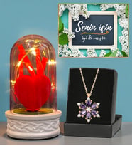 Led Işıklı Fanus ve Gerçek Ametist Taşlı Lotus Kolye Hediye Seti (Model 3)