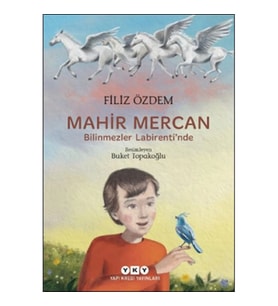 Mahir Mercan - Bilinmezler Labirenti’nde