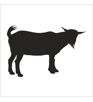 KEÇİ  FOLYO STİCKER 50cm Uzunluk (Karışık)
