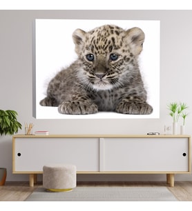 Yakın Çekim Bebek Kaplan Dekoratif Kanvas Tablo